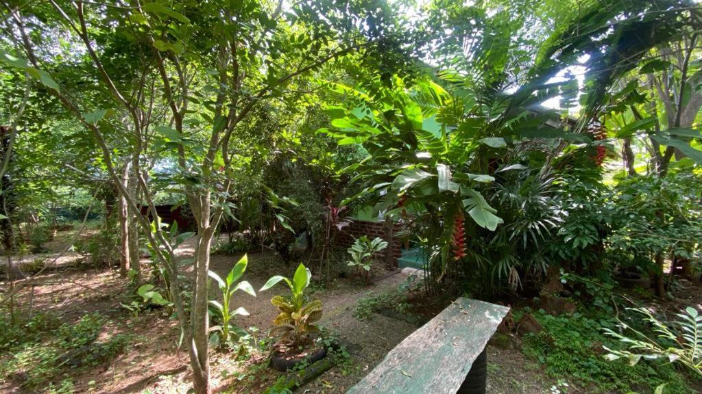 Forest Villa Nature Resort Anuradhapura Kültér fotó