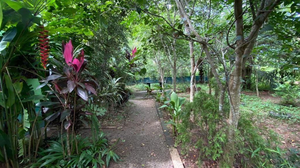 Forest Villa Nature Resort Anuradhapura Kültér fotó
