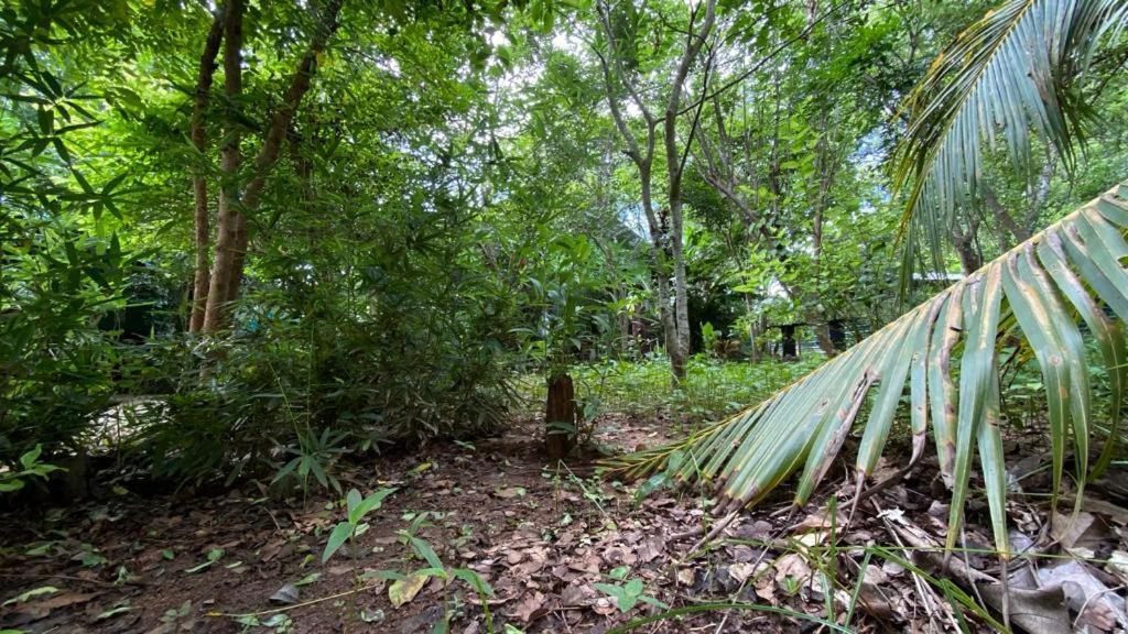 Forest Villa Nature Resort Anuradhapura Kültér fotó