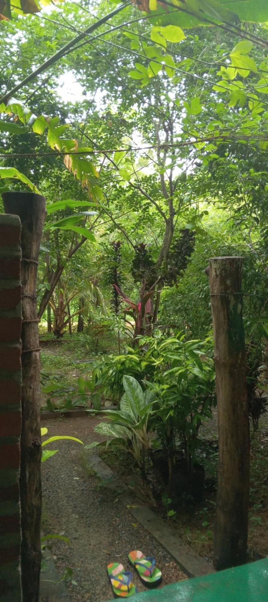Forest Villa Nature Resort Anuradhapura Kültér fotó