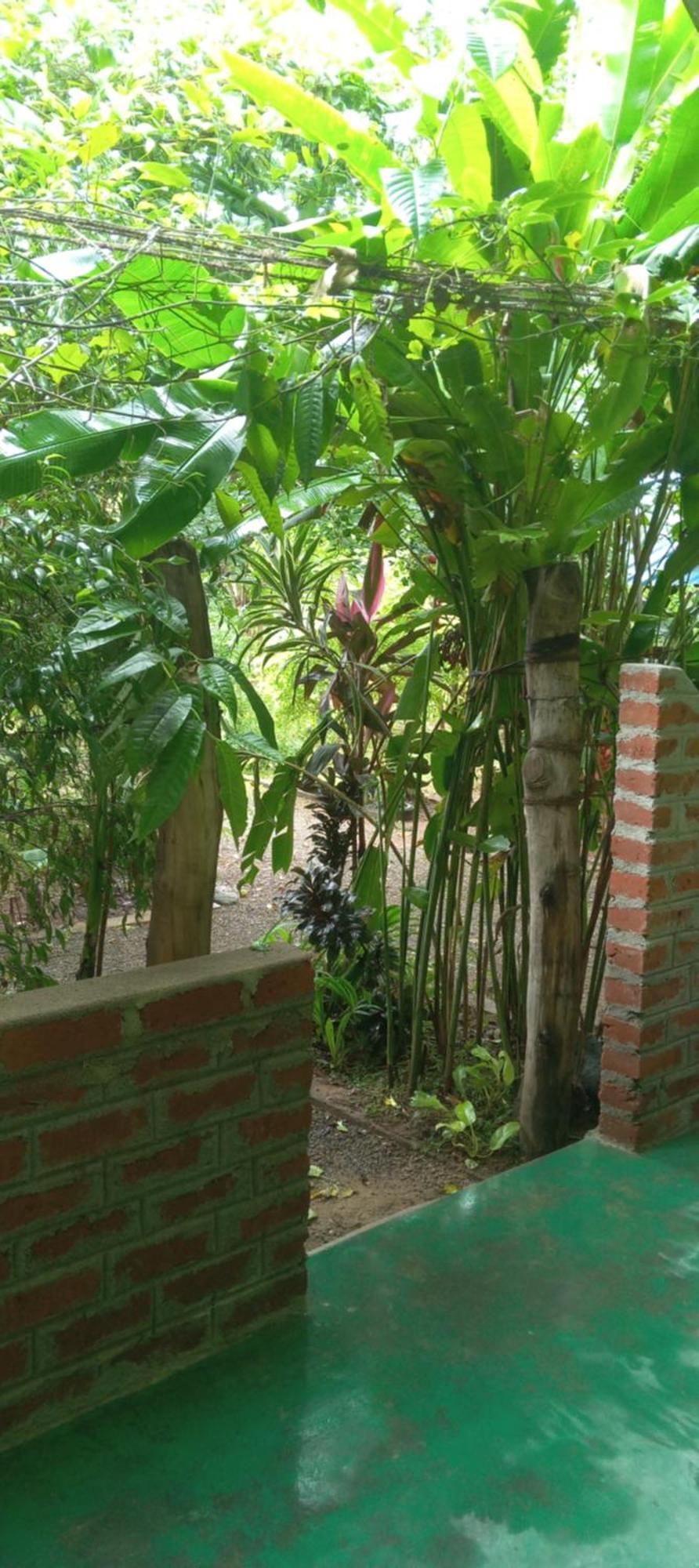 Forest Villa Nature Resort Anuradhapura Kültér fotó