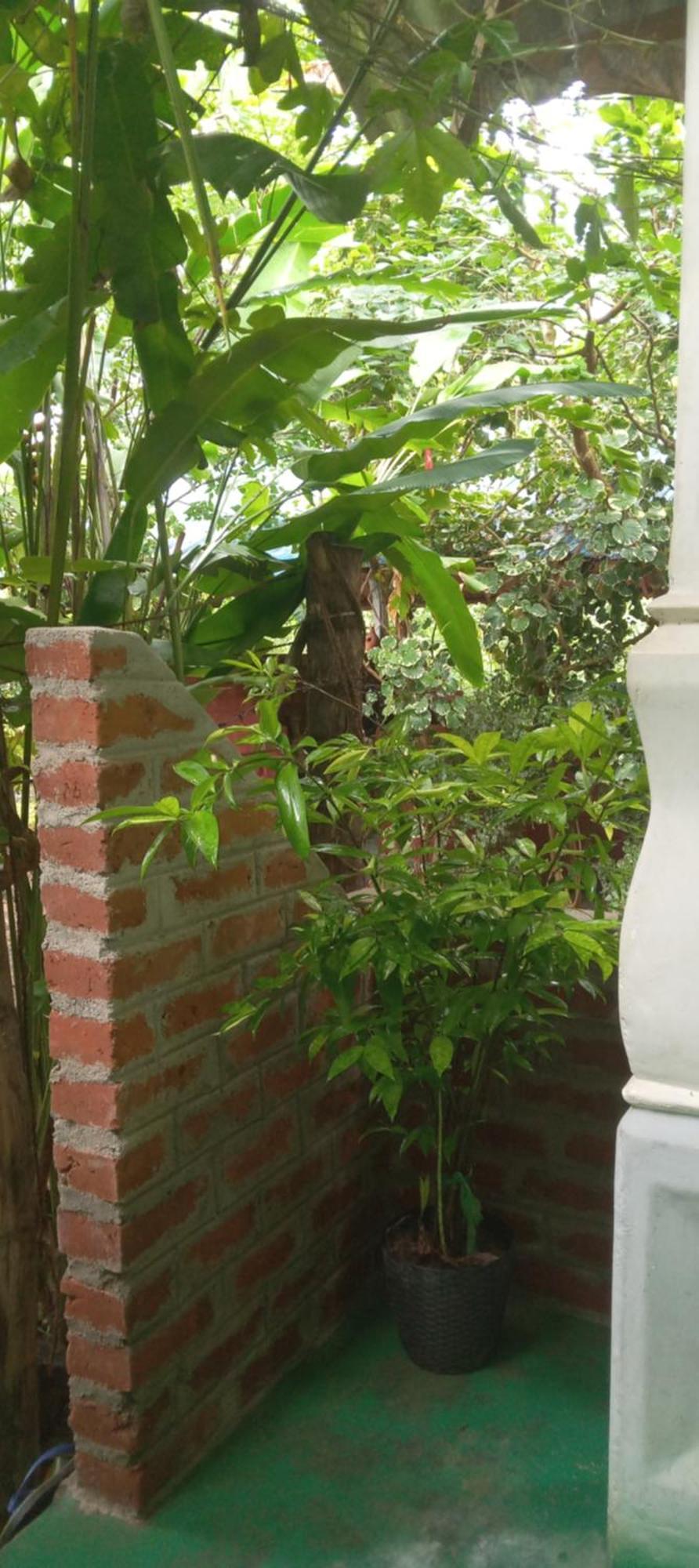 Forest Villa Nature Resort Anuradhapura Kültér fotó